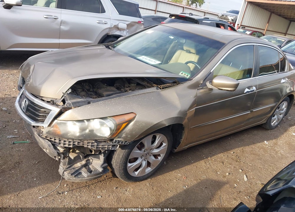 2010 HONDA ACCORD VIN: 1HGCP3F89AA023586