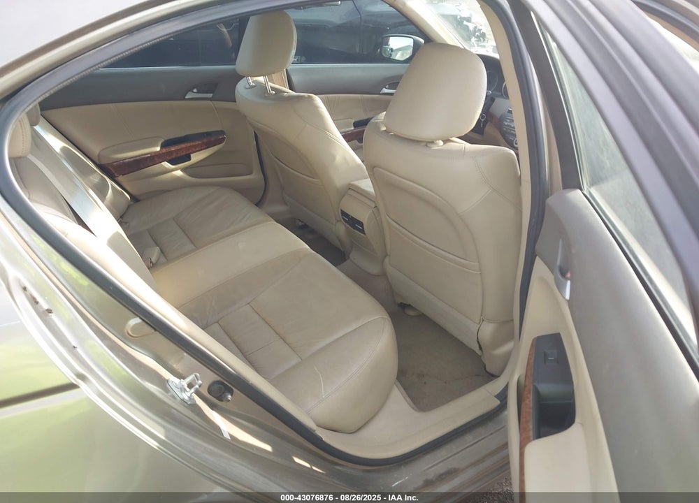 2010 HONDA ACCORD VIN: 1HGCP3F89AA023586