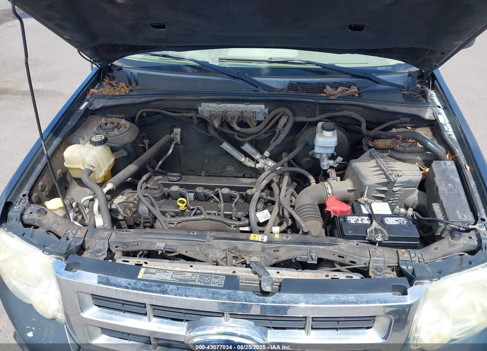 2009 FORD ESCAPE XLT VIN: 1FMCU03789KA30564