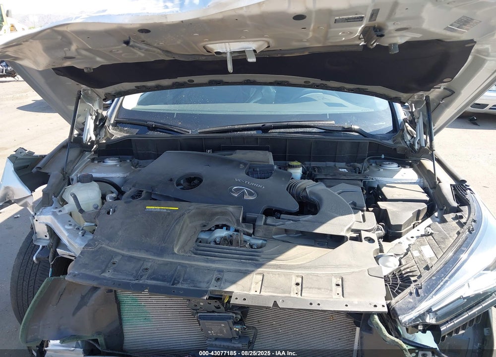 2019 INFINITI QX50 VIN: 3PCAJ5M1XKF137114