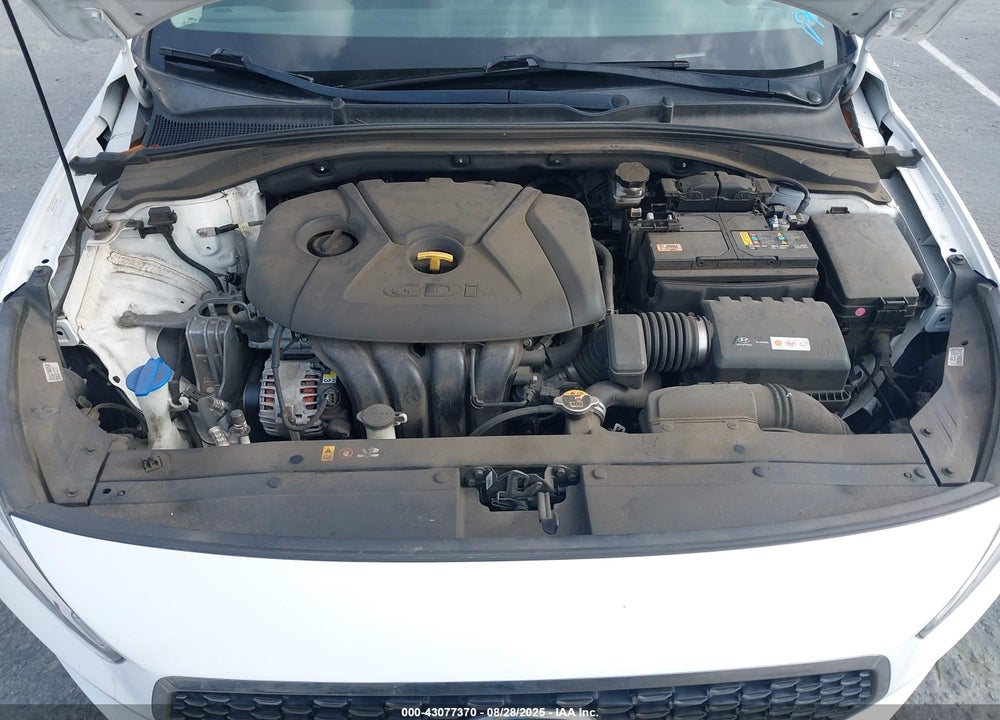 2019 HYUNDAI ELANTRA VIN: KMHH35LE2KU099247