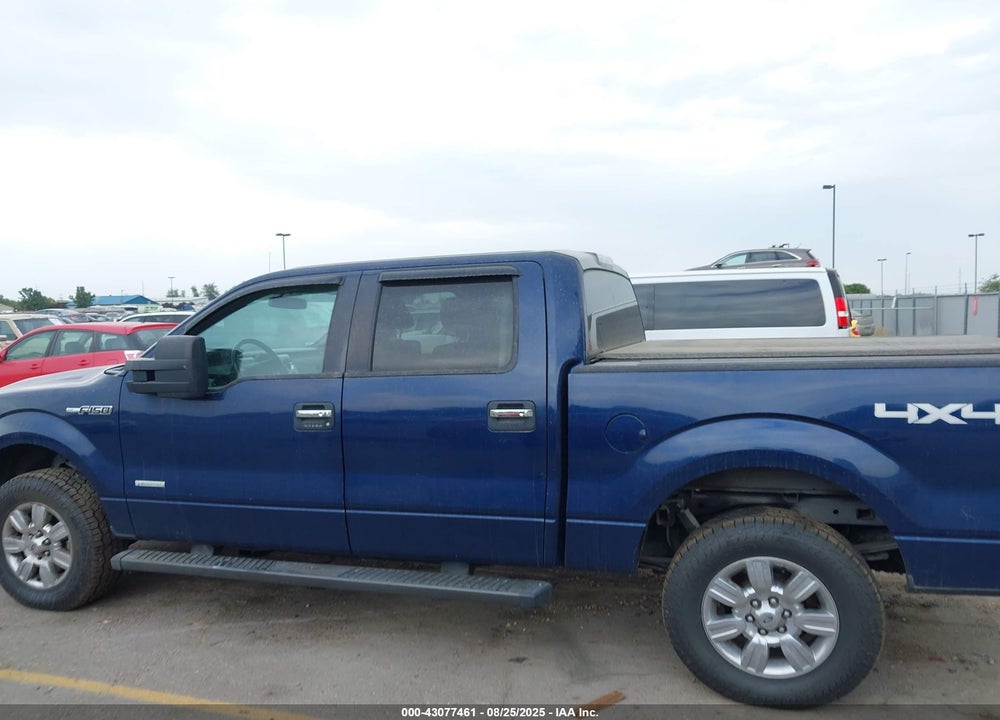 2011 FORD F-150 XLT VIN: 1FTFW1ET1BFD32952