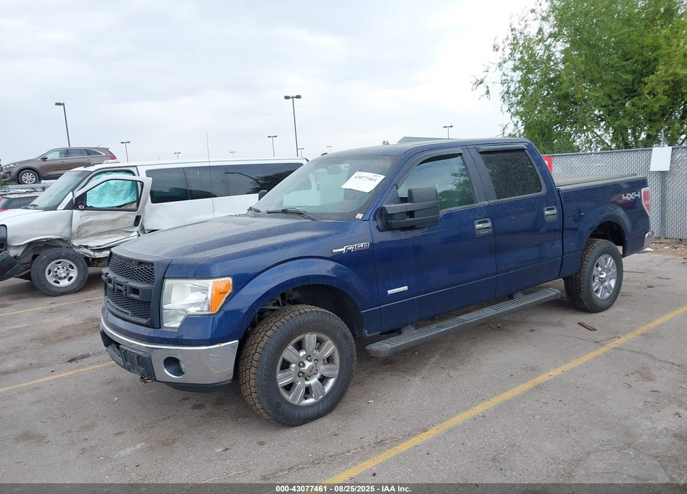 2011 FORD F-150 XLT VIN: 1FTFW1ET1BFD32952