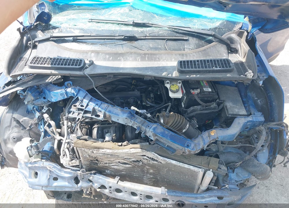 2019 FORD ESCAPE VIN: 1FMCU0F77KUA70835