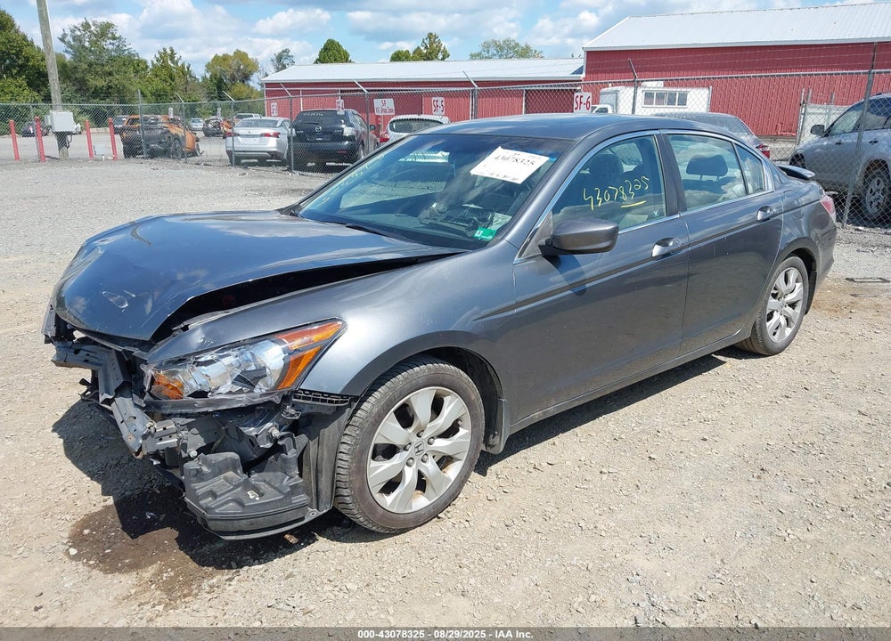 2010 HONDA ACCORD VIN: 1HGCP2F88AA081702