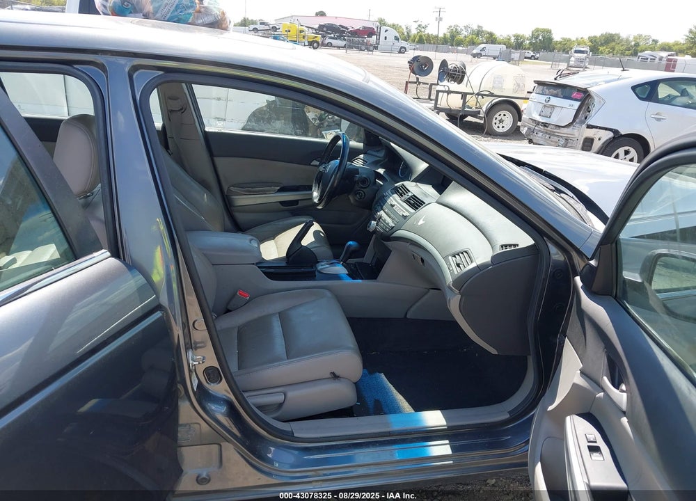 2010 HONDA ACCORD VIN: 1HGCP2F88AA081702