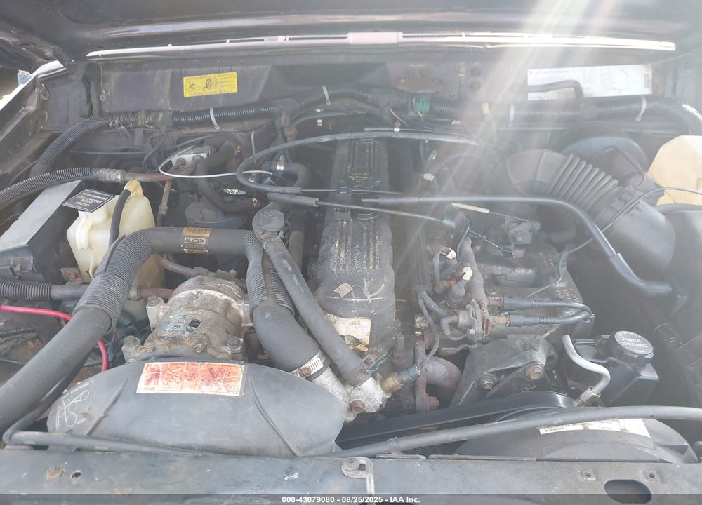 1991 JEEP COMANCHE PIONEER VIN: 1J7FJ36S3ML537173