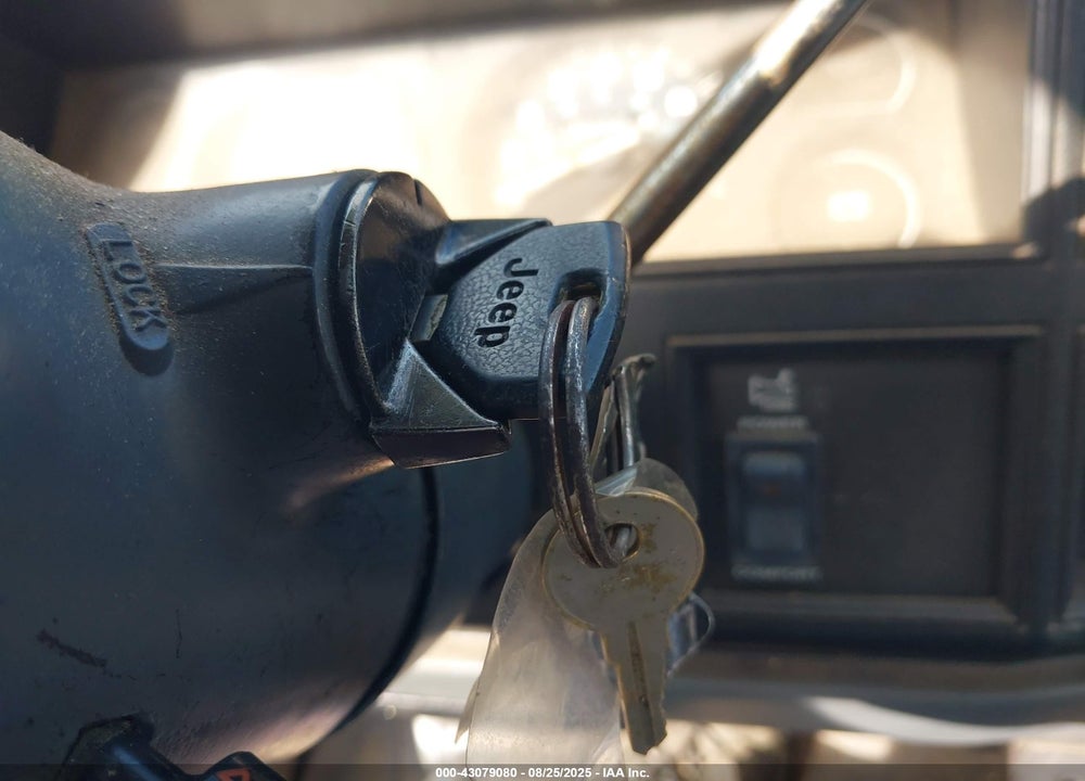 1991 JEEP COMANCHE PIONEER VIN: 1J7FJ36S3ML537173