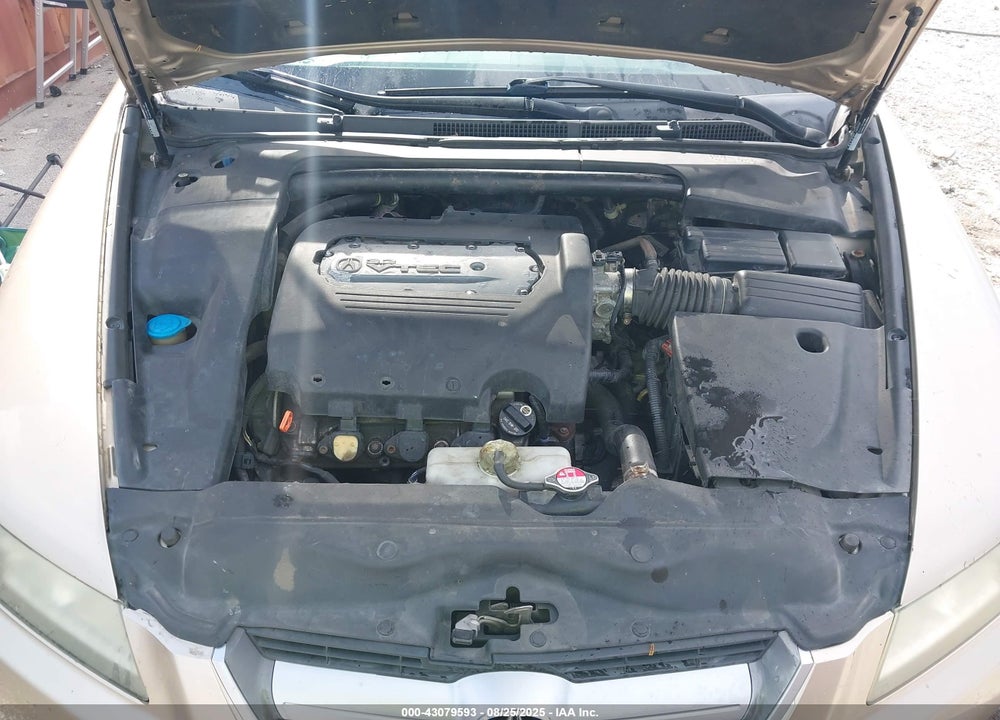 2006 ACURA TL VIN: 19UUA66246A035865