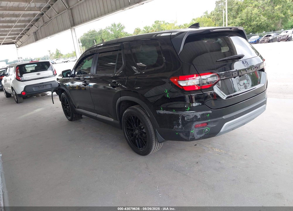 2024 HONDA PILOT VIN: 5FNYG2H57RB008069