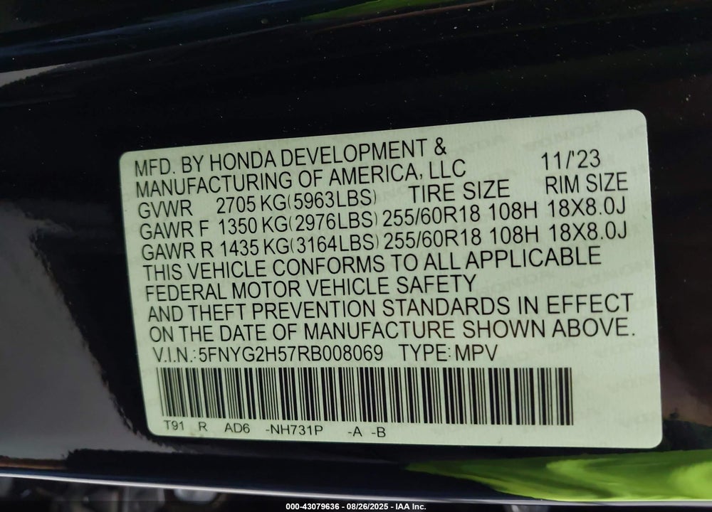 2024 HONDA PILOT VIN: 5FNYG2H57RB008069
