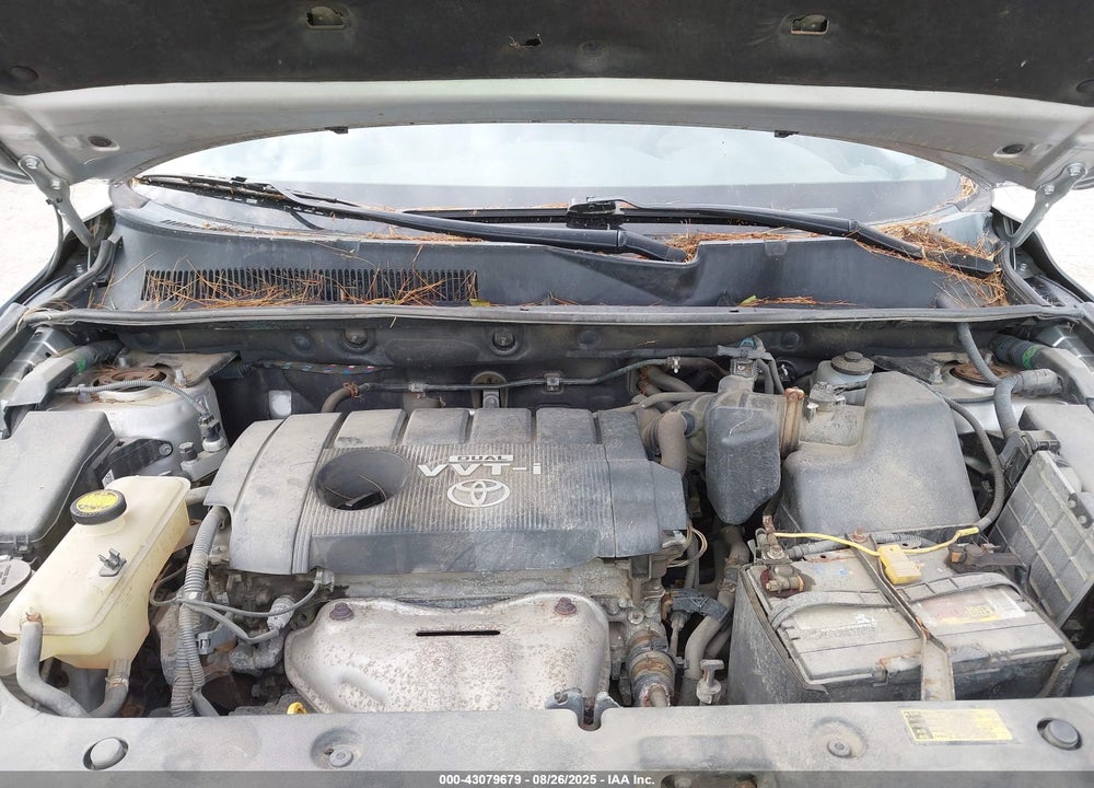 2010 TOYOTA RAV4 VIN: 2T3BF4DV7AW065610