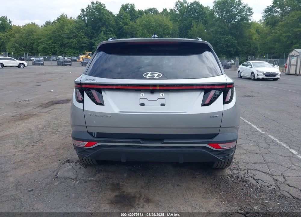 2024 HYUNDAI TUCSON VIN: 5NMJFCDEXRH314231