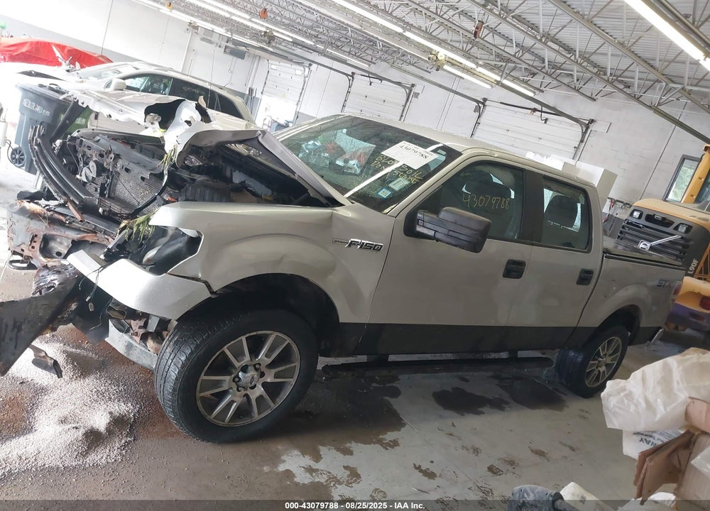 2014 FORD F-150 STX VIN: 1FTFW1EFXEFA74560
