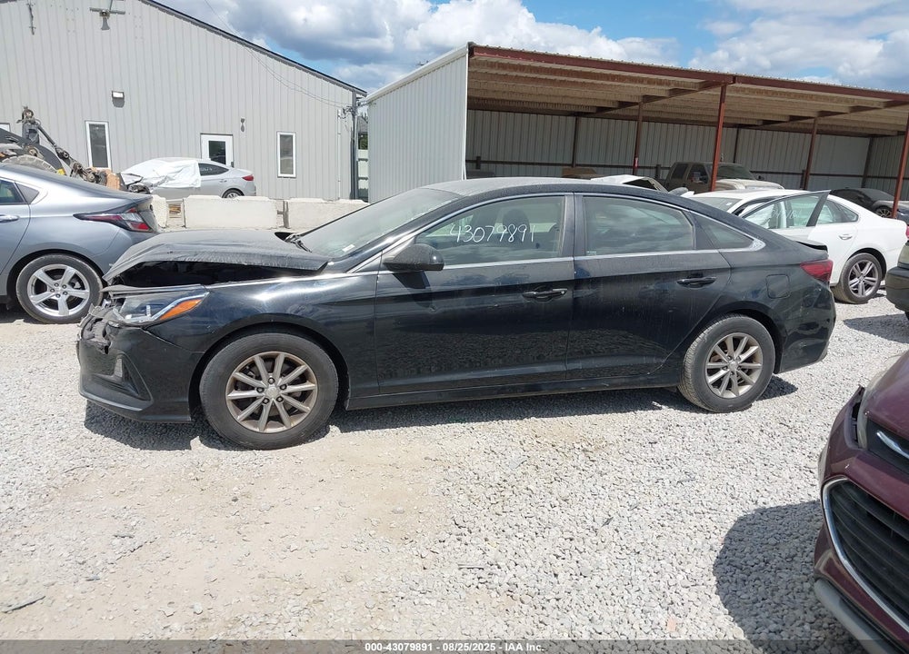 2018 HYUNDAI SONATA VIN: 5NPE24AF6JH666360