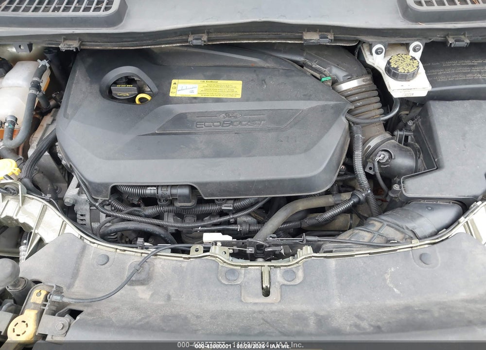 2014 FORD ESCAPE VIN: 1FMCU9GX3EUB49054