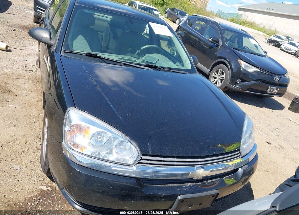 2004 CHEVROLET MALIBU MAXX LS VIN: 1G1ZT62894F235691
