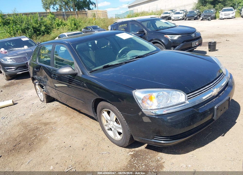 2004 CHEVROLET MALIBU MAXX LS VIN: 1G1ZT62894F235691