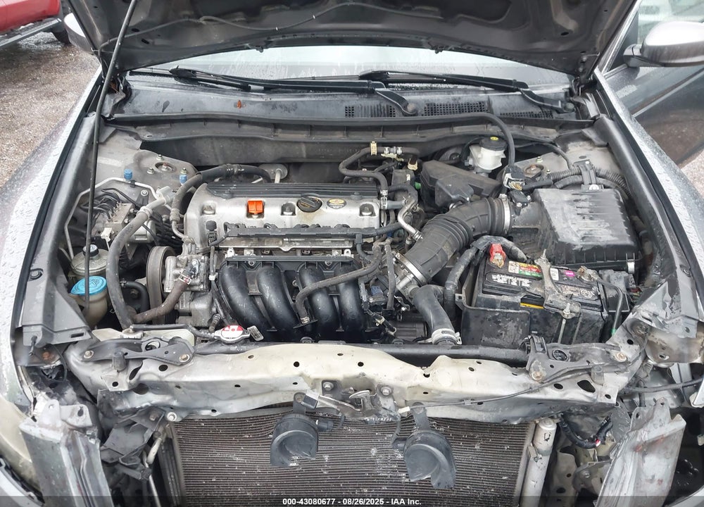 2011 HONDA ACCORD VIN: 1HGCP2F40BA125450