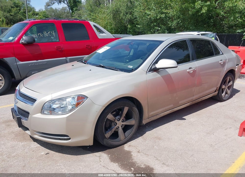 2011 CHEVROLET MALIBU 1LT VIN: 1G1ZC5EU8BF362397