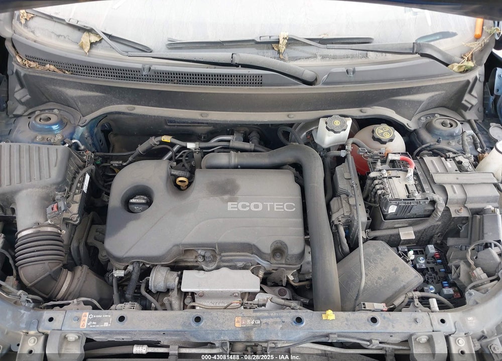 2019 CHEVROLET EQUINOX VIN: 2GNAXKEV8K6216874