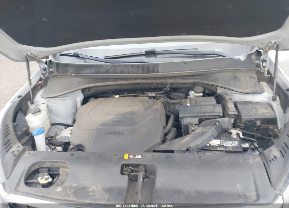 2019 KIA SORENTO VIN: 5XYPGDA56KG449501
