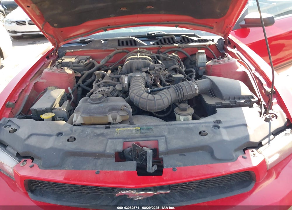 2010 FORD MUSTANG V6/V6 PREMIUM VIN: 1ZVBP8AN9A5152115