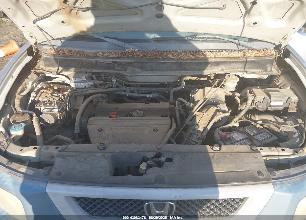 2006 HONDA ELEMENT VIN: 5J6YH28376L014744