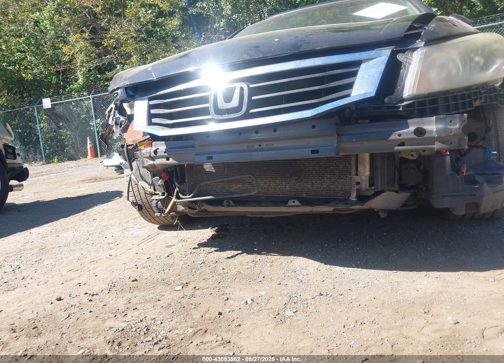 2010 HONDA ACCORD VIN: 1HGCP2F73AA168253