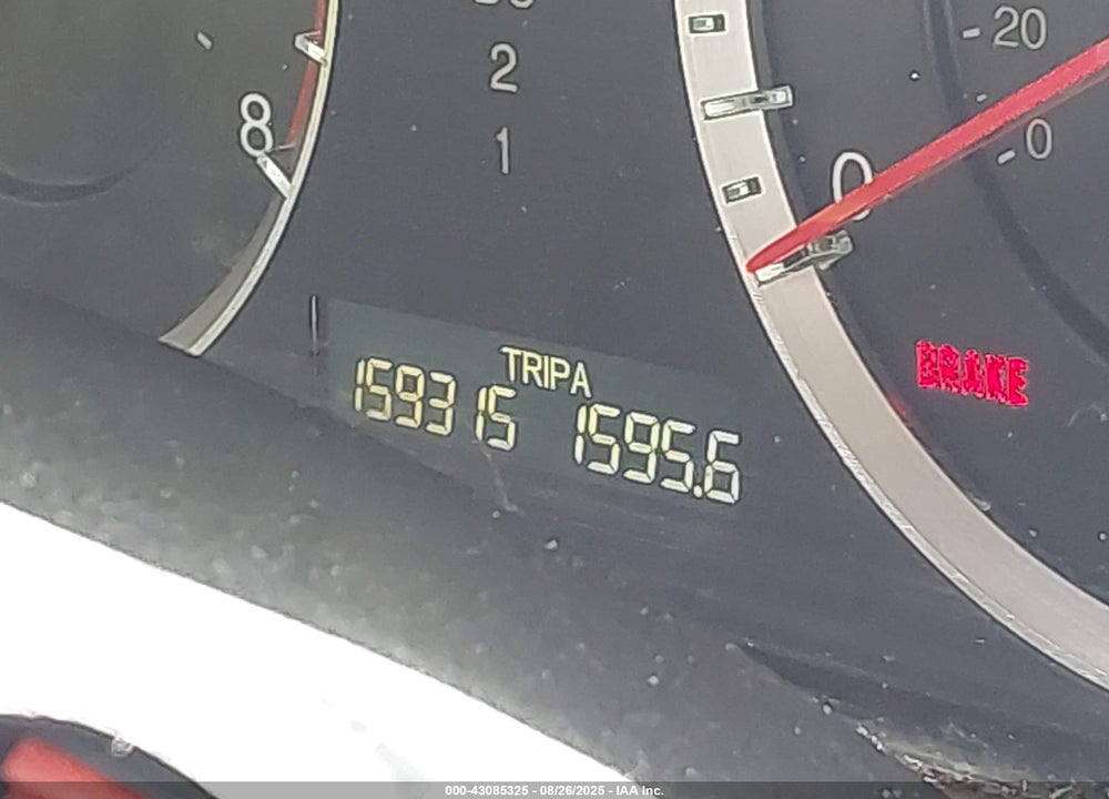 2010 HONDA ACCORD VIN: 1HGCP2F41AA031639