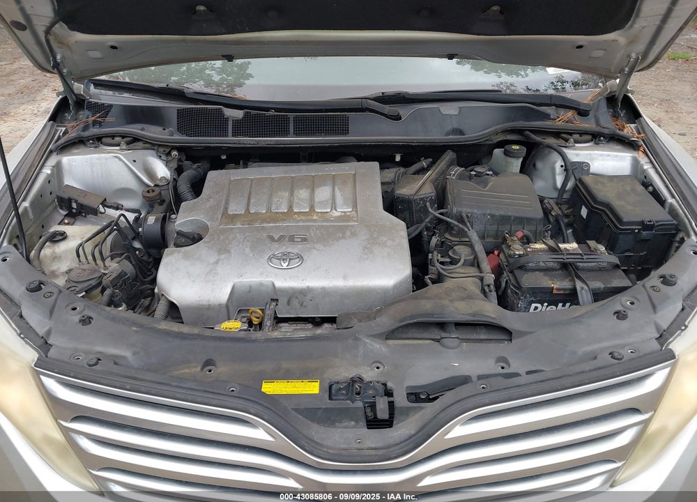2010 TOYOTA VENZA VIN: 4T3ZK3BB7AU026898