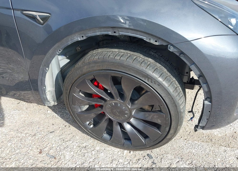 2023 TESLA MODEL Y VIN: 7SAYGDEF3PF968983