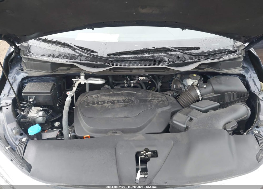 2023 HONDA ODYSSEY VIN: 5FNRL6H60PB035112