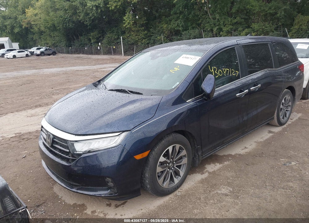 2023 HONDA ODYSSEY VIN: 5FNRL6H60PB035112