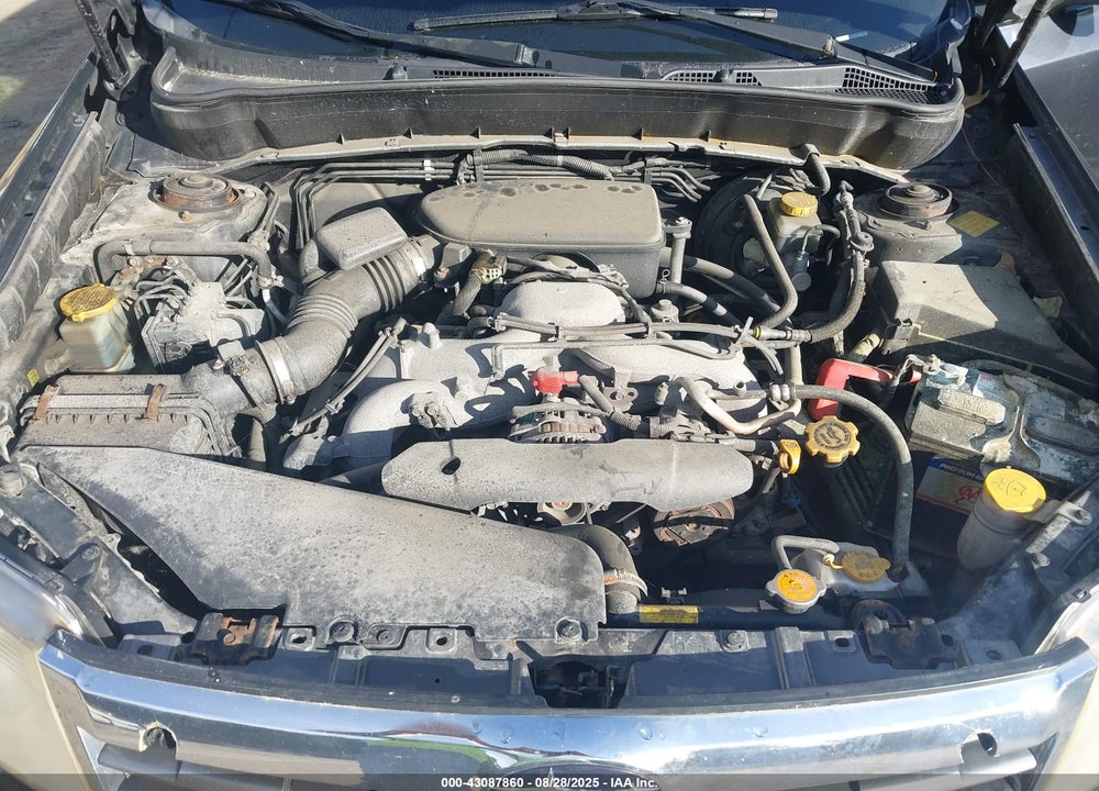2009 SUBARU FORESTER VIN: JF2SH61619H723184