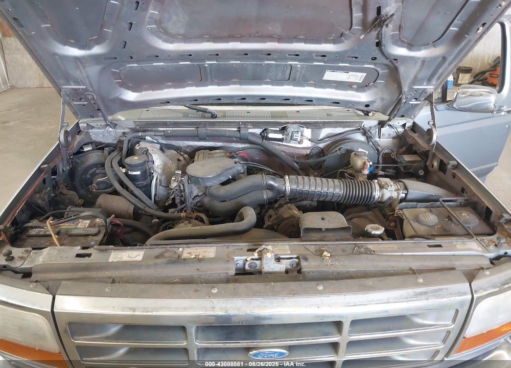 1995 FORD F150 VIN: 1FTEF15N6SLB59668