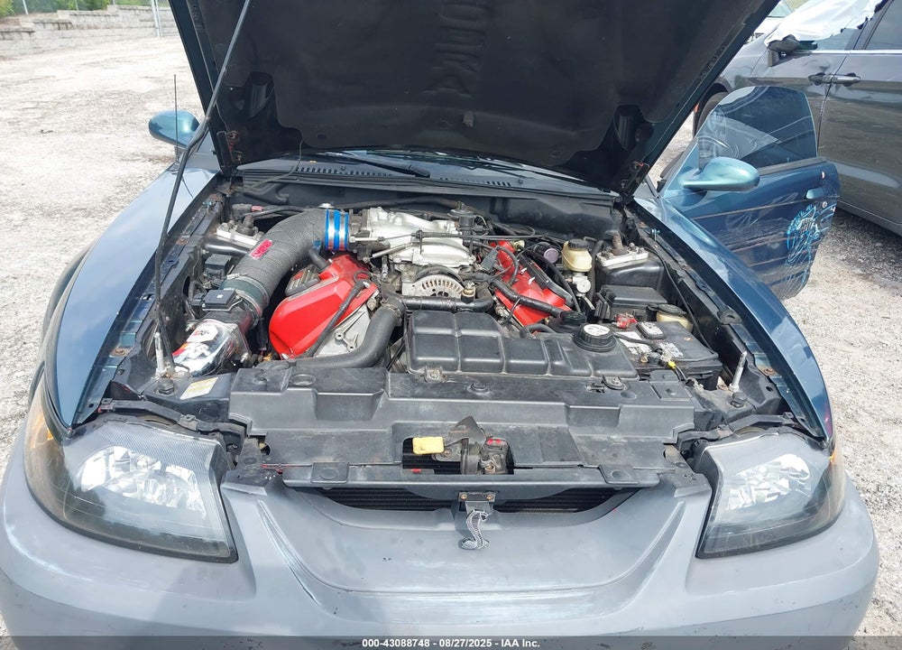 1999 FORD MUSTANG COBRA VIN: 1FAFP47V6XF182296