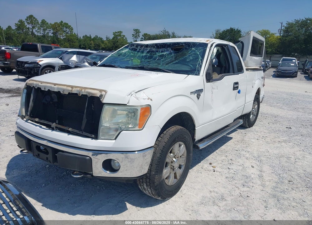 2010 FORD F-150 VIN: 1FTFX1EV8AKC00534