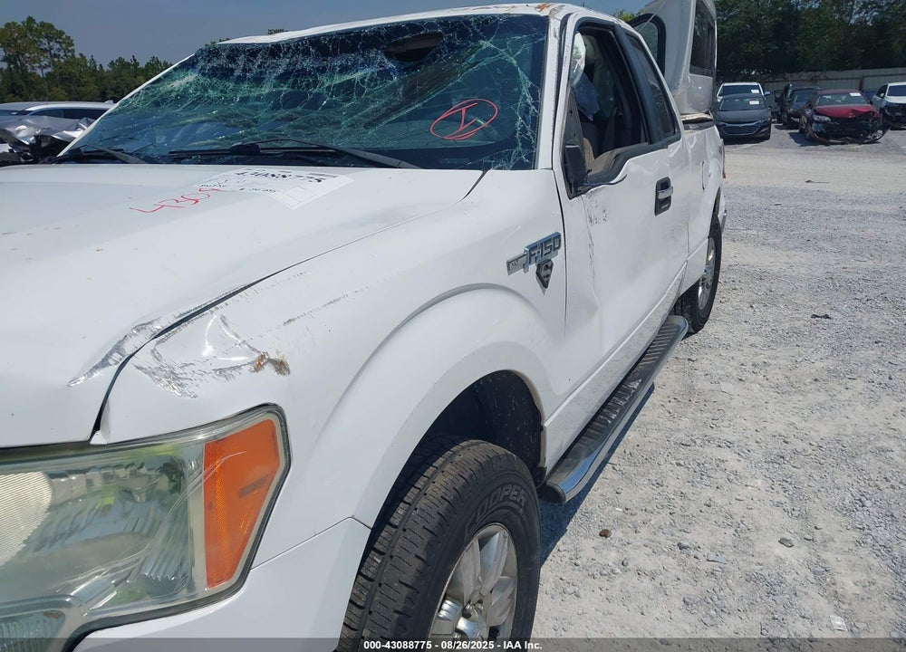 2010 FORD F-150 VIN: 1FTFX1EV8AKC00534