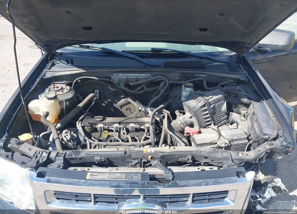 2010 FORD ESCAPE XLT VIN: 1FMCU0D75AKD39248
