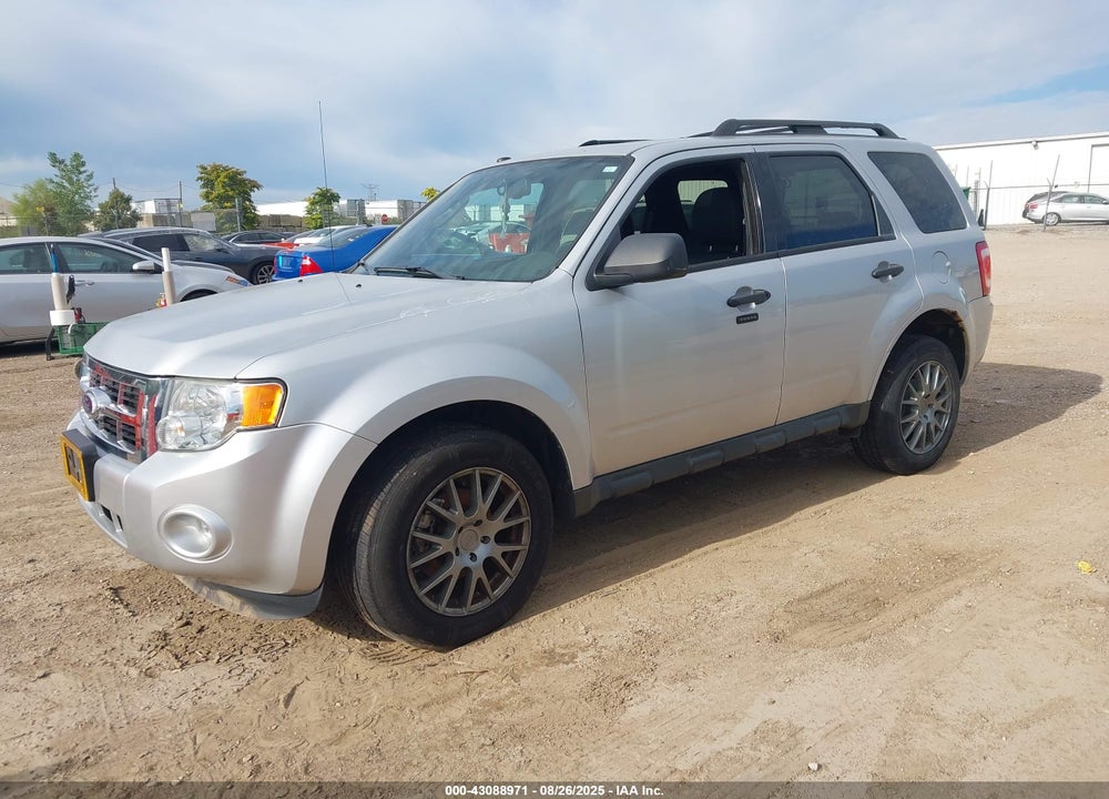 2011 FORD ESCAPE XLT VIN: 1FMCU9DG7BKA79666