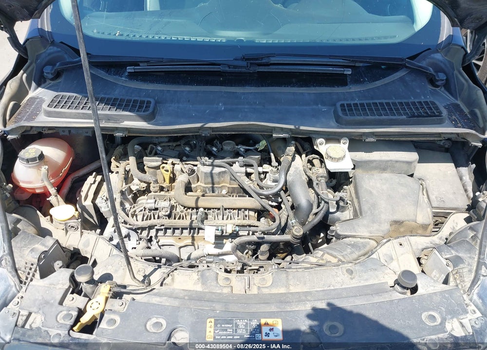 2019 FORD ESCAPE VIN: 1FMCU0GD5KUC06416