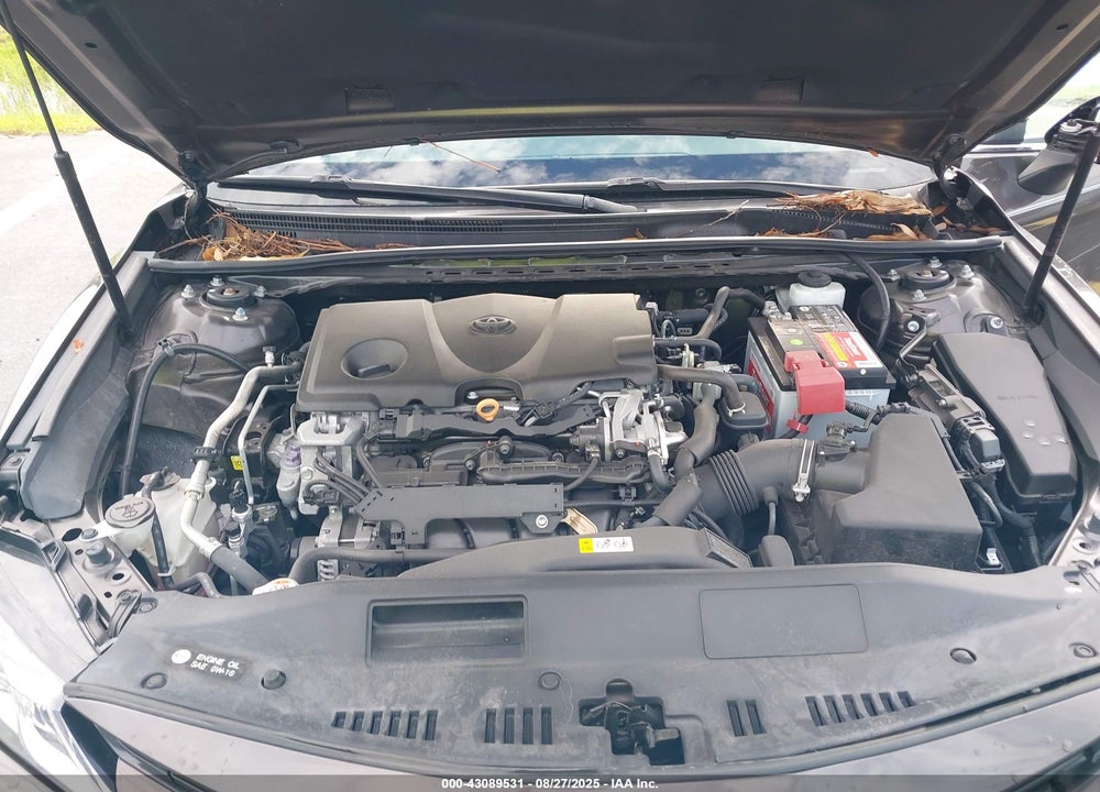 2019 TOYOTA CAMRY VIN: 4T1B11HK3KU809971