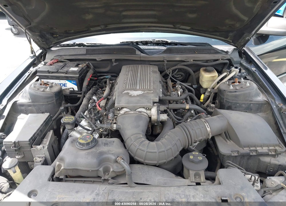2008 FORD MUSTANG GT DELUXE/GT PREMIUM VIN: 1ZVHT85H185127553