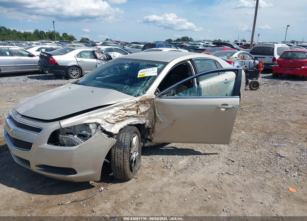 2011 CHEVROLET MALIBU VIN: 1G1ZB5E13BF221309