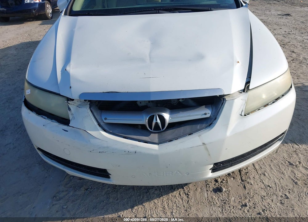 2004 ACURA TL VIN: 19UUA66214A006417
