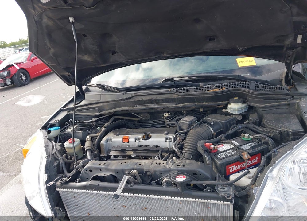 2010 HONDA CR-V VIN: 5J6RE4H70AL065703