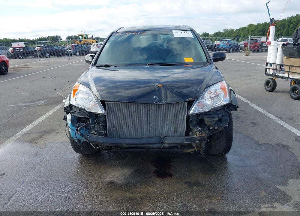 2010 HONDA CR-V VIN: 5J6RE4H70AL065703