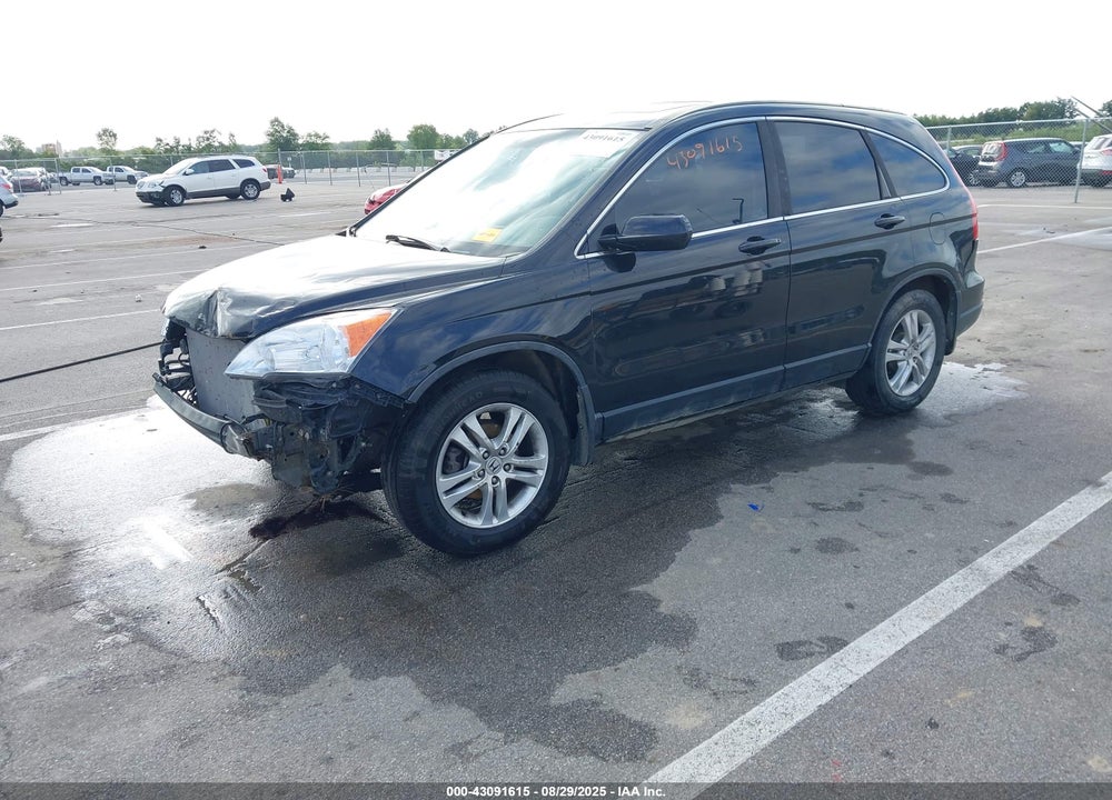 2010 HONDA CR-V VIN: 5J6RE4H70AL065703