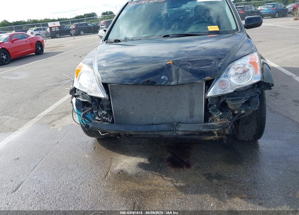 2010 HONDA CR-V VIN: 5J6RE4H70AL065703
